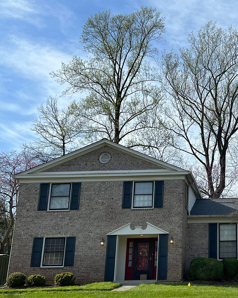 Residential Roof Construction