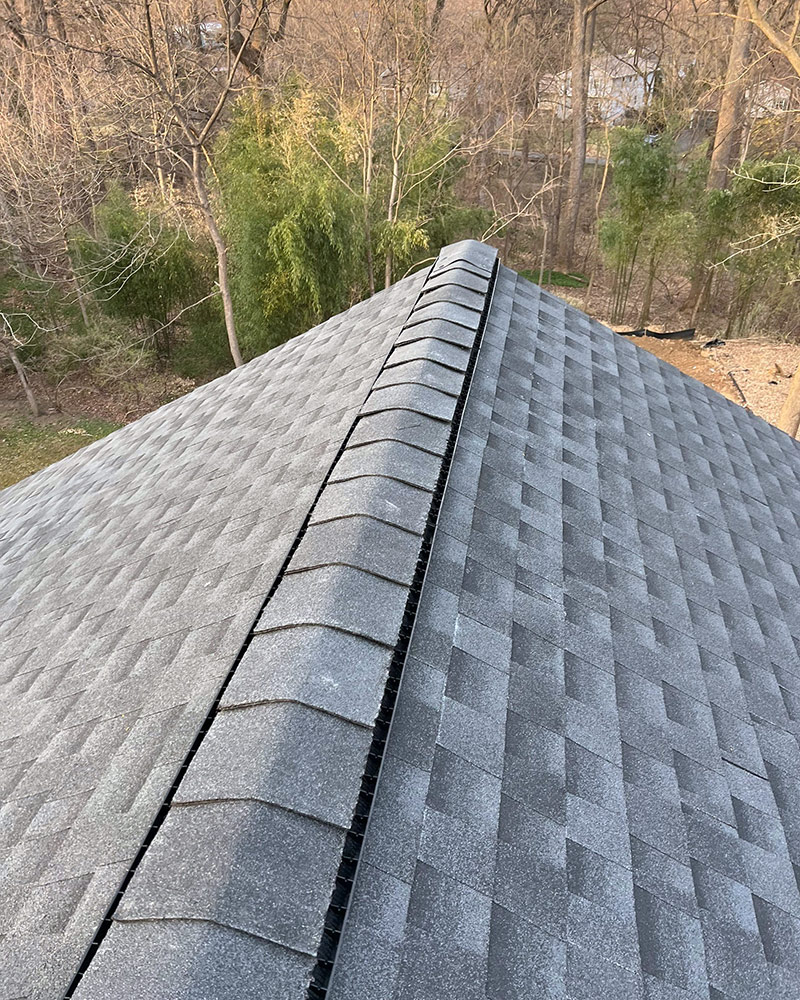 Residential Roof and Ridge Vent
